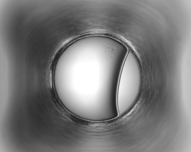 X0000096431171200801241018