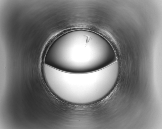X0000096431172200801241018