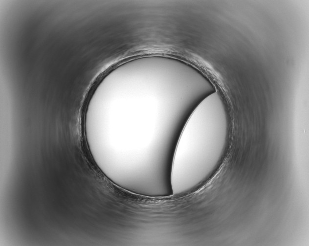 X0000096431174200801241018