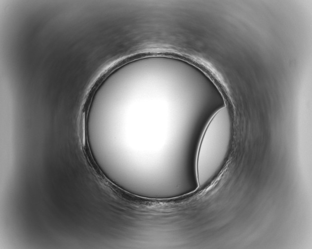 X0000096431175200801241018