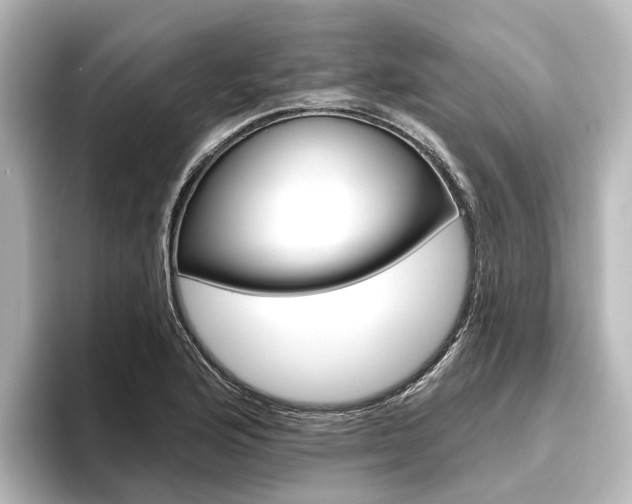X0000096431176200801241017