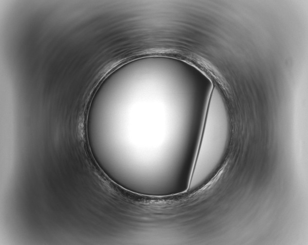 X0000096431177200801241017