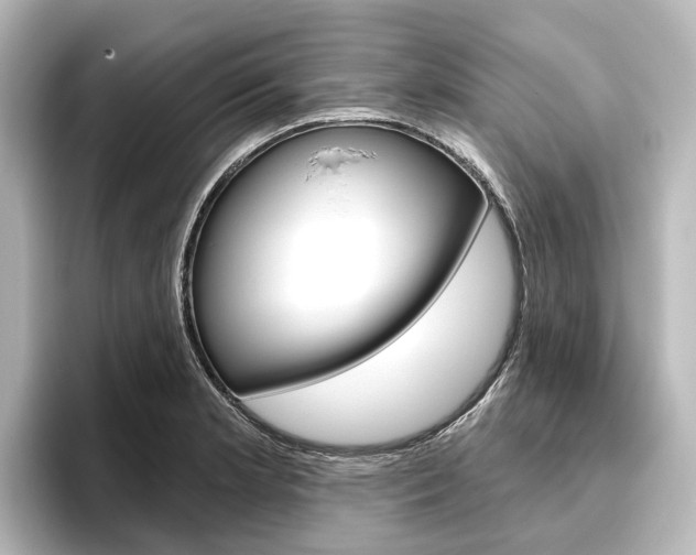 X0000096431181200801241017