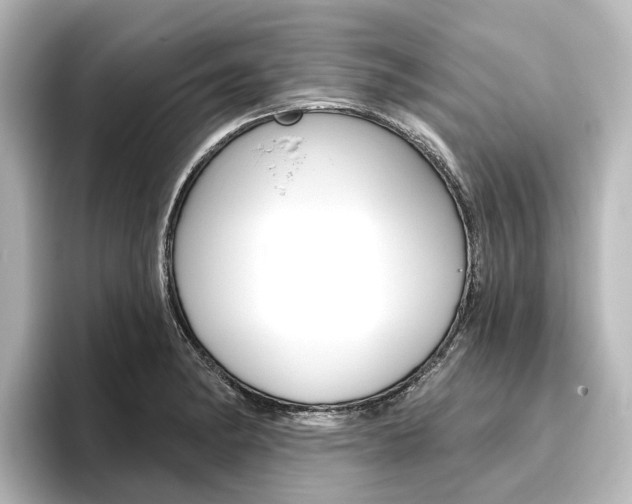 X0000096431182200801241017