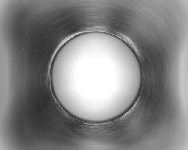 X0000096431184200801241017
