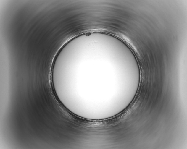 X0000096431186200801241017