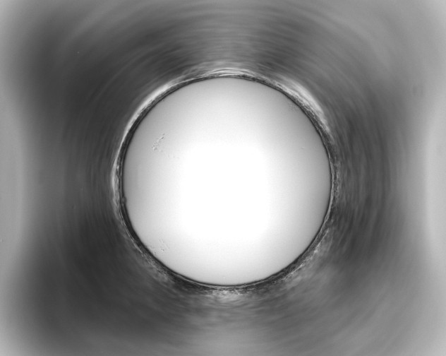 X0000096431190200801241017