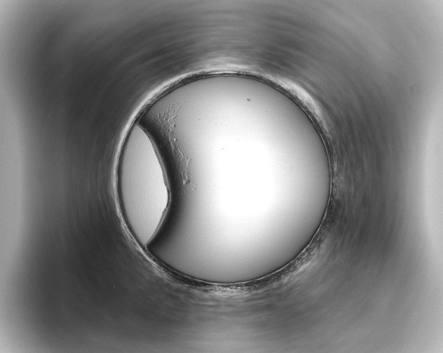 X0000096431191200801241017
