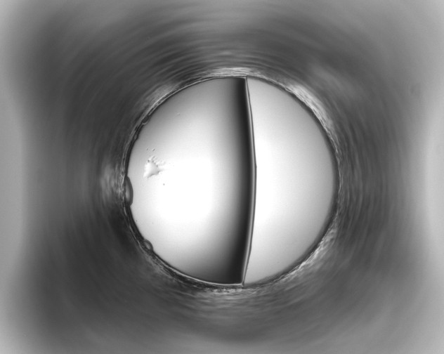 X0000096431193200801241017