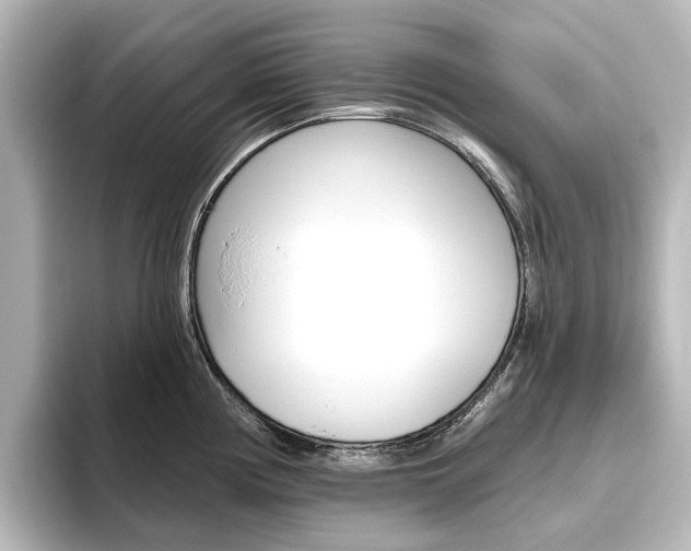 X0000096431194200801241017