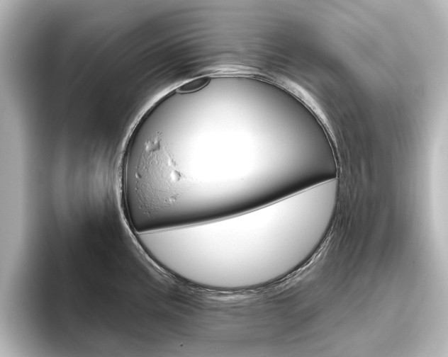 X0000096431195200801241017