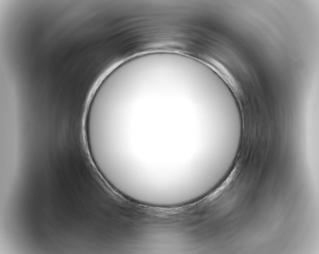 X0000096431196200801241017
