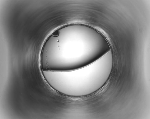 X0000096431199200801241017