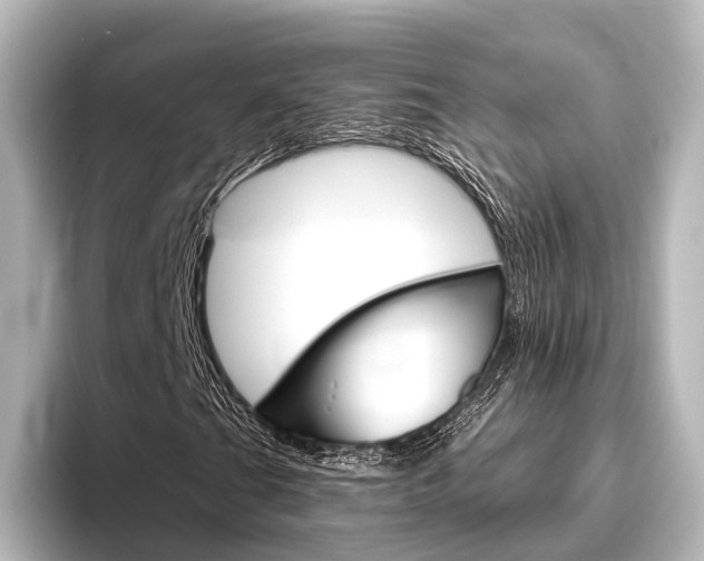 X0000096431201200801241017