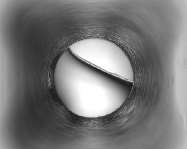 X0000096431202200801241017
