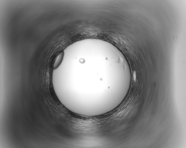 X0000096431203200801241017