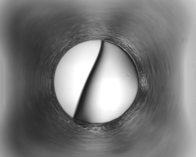 X0000096431204200801241017