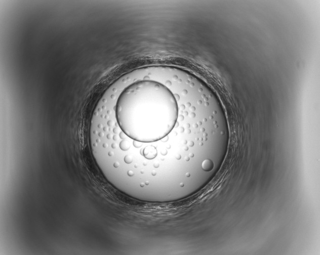X0000096431205200801241017