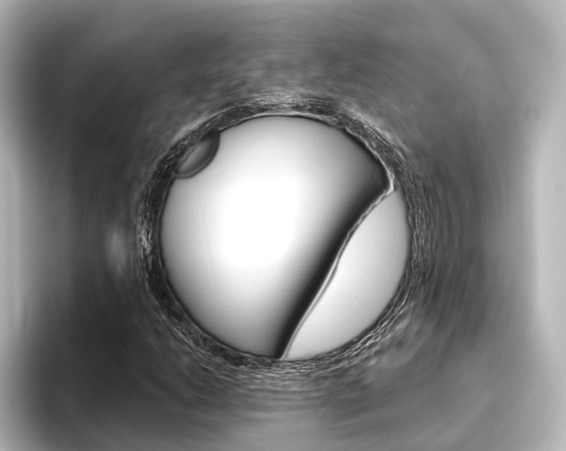 X0000096431206200801241017