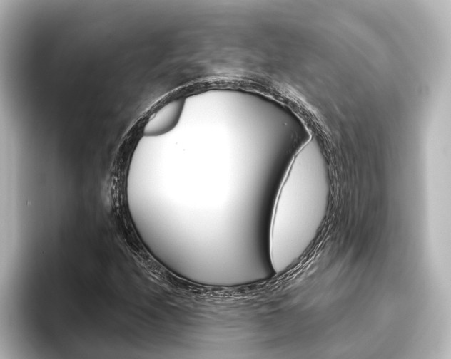 X0000096431208200801241017