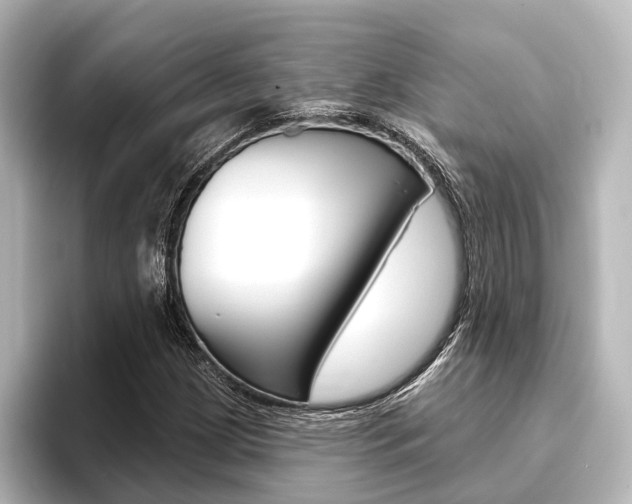 X0000096431209200801241017