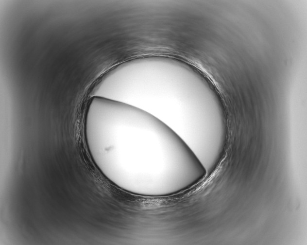 X0000096431211200801241017