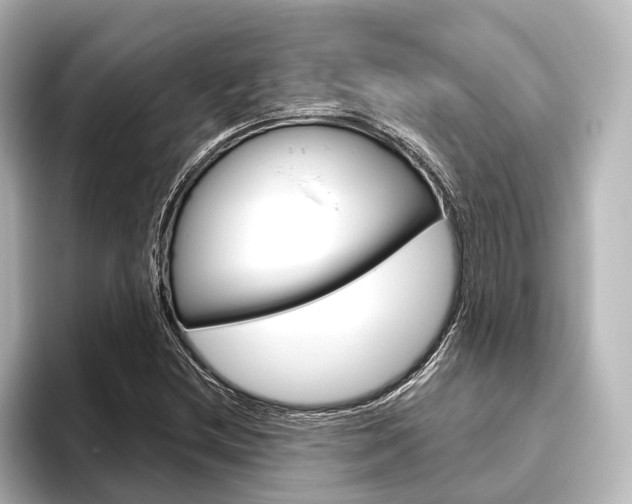 X0000096431212200801241017