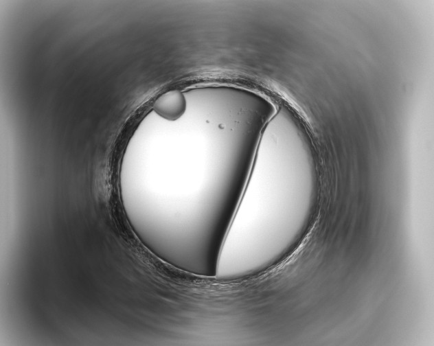 X0000096431213200801241017