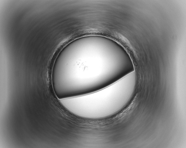 X0000096431218200801241017