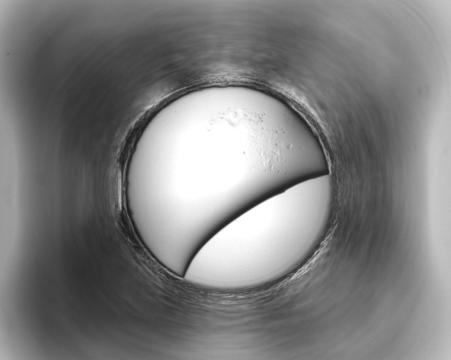 X0000096431219200801241017