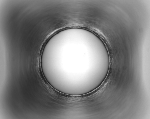 X0000096431220200801241017