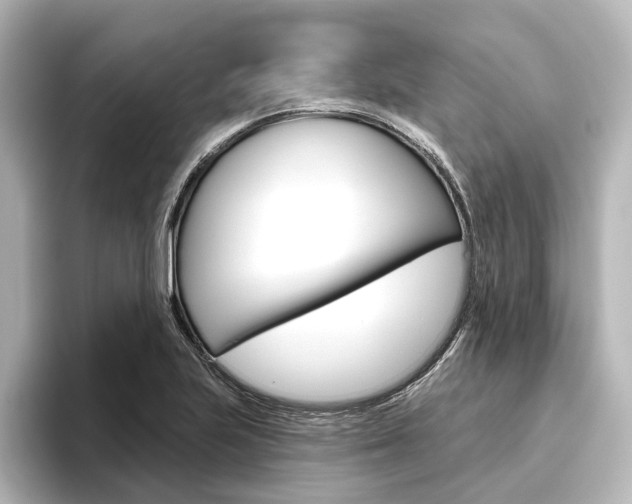 X0000096431223200801241017