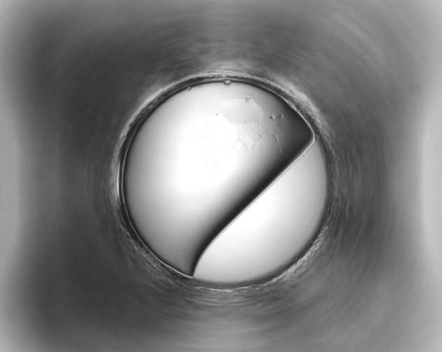 X0000096431224200801241017