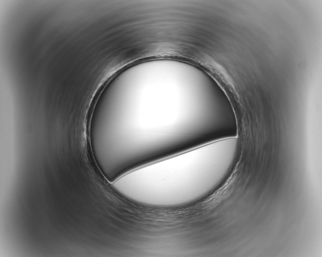 X0000096431226200801241017