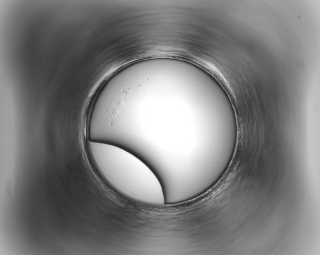 X0000096431227200801241017