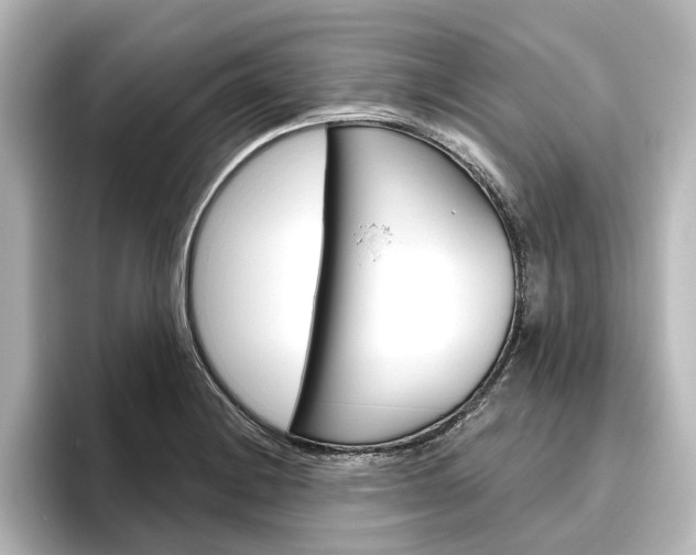 X0000096431228200801241017
