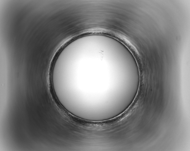 X0000096431229200801241017
