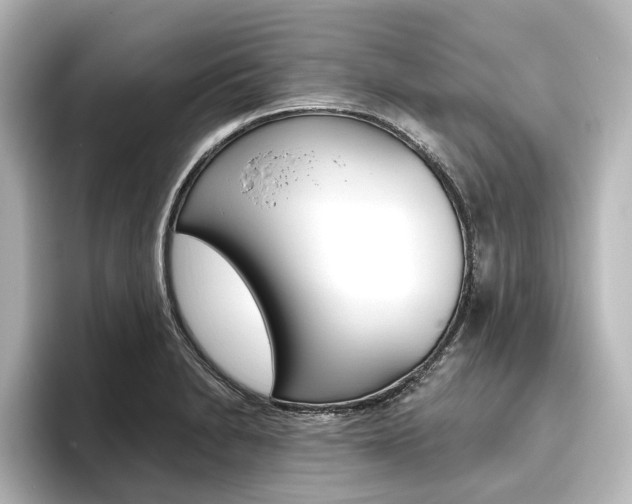 X0000096431230200801241017