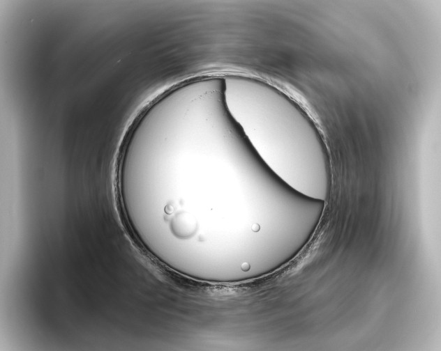 X0000096431231200801241017
