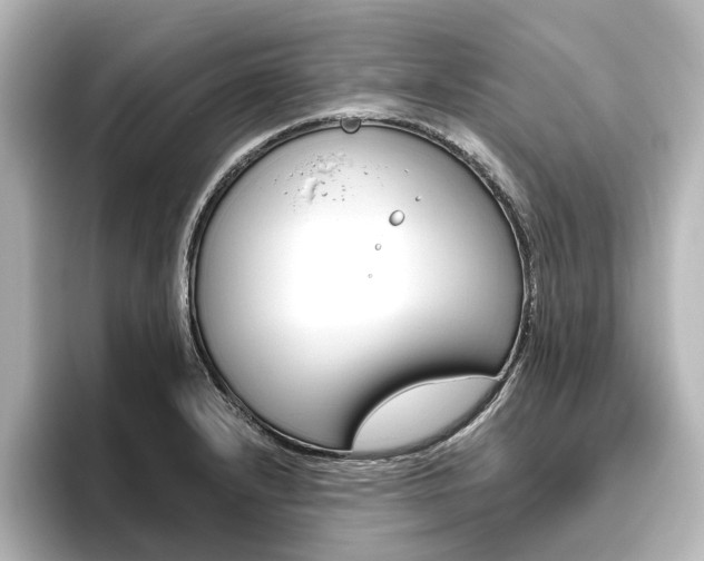 X0000096431232200801241017