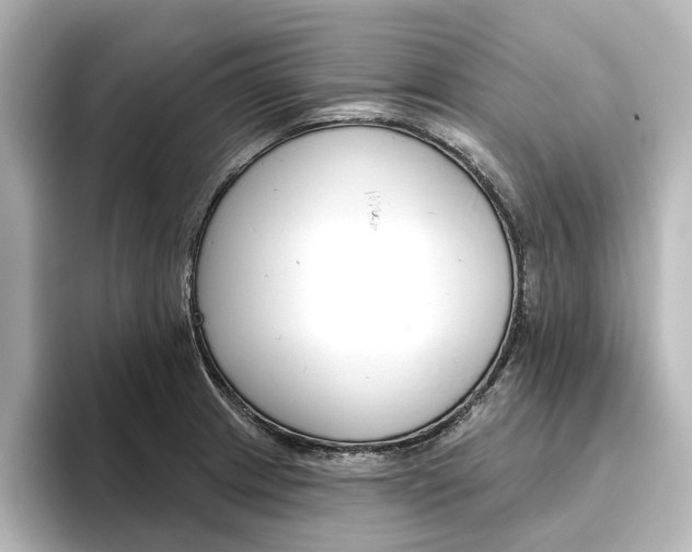 X0000096431233200801241017