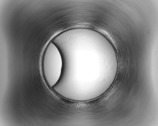 X0000096431235200801241017