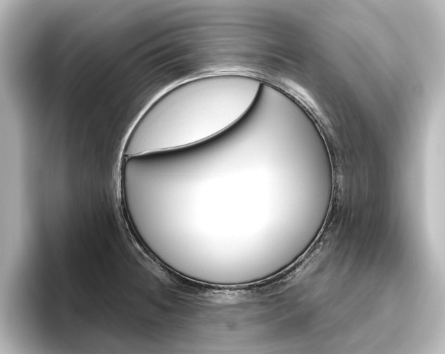 X0000096431236200801241017