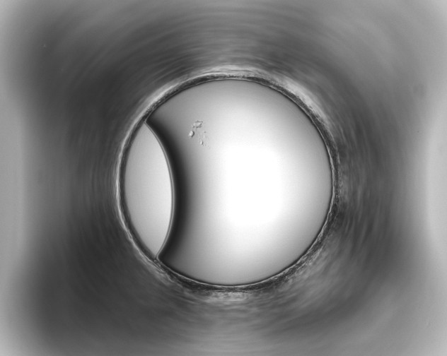 X0000096431237200801241017
