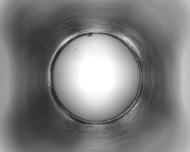X0000096431238200801241017
