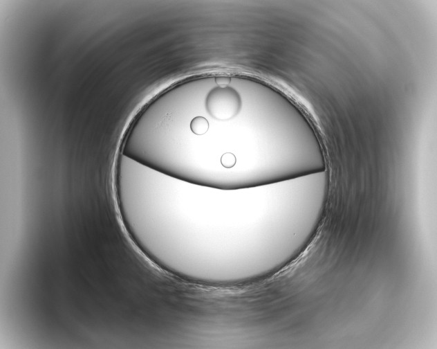 X0000096431239200801241017