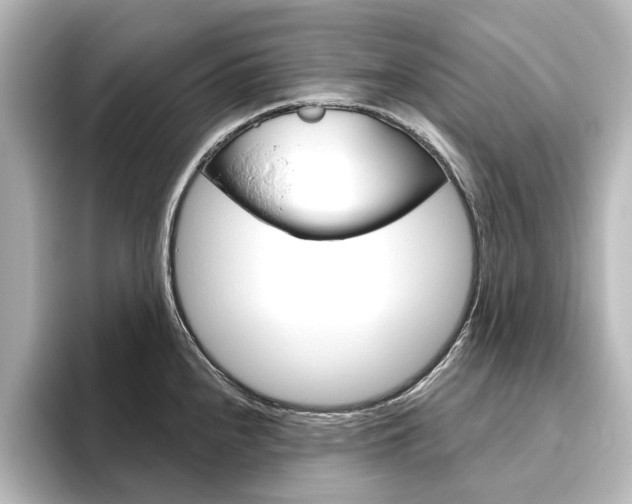X0000096431240200801241017