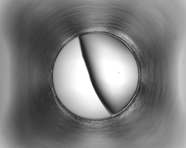 X0000096431241200801241017