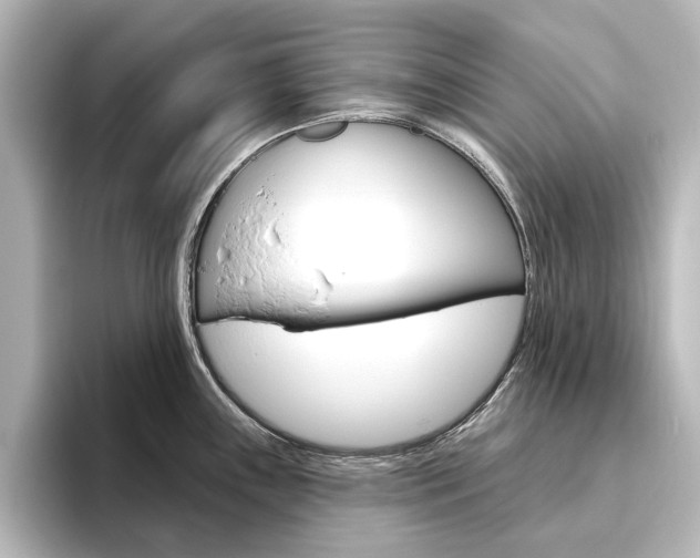 X0000096431243200801241017