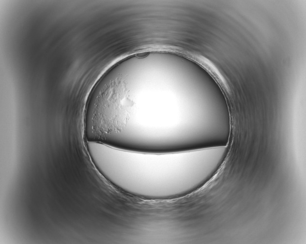 X0000096431244200801241017